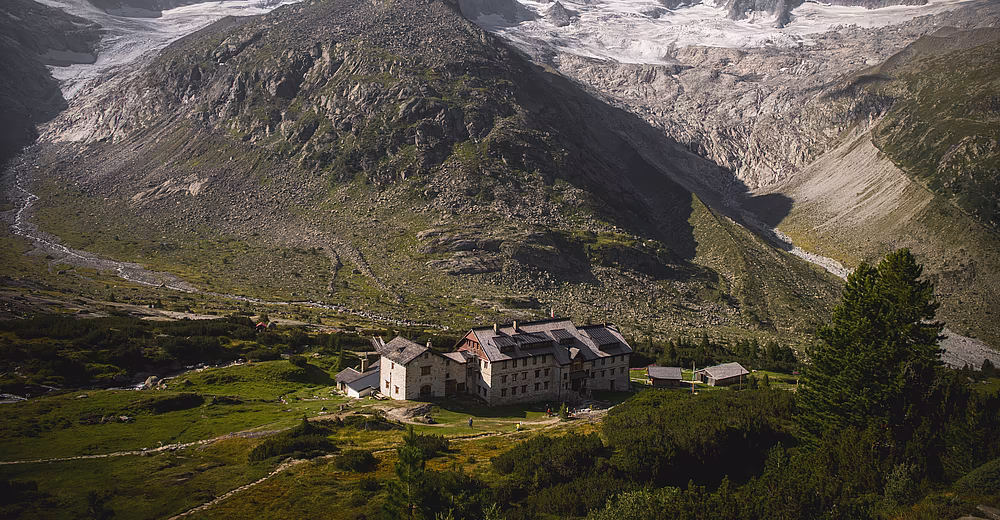 Steinbockmarsch im Sommer © Archiv TVB Mayrhofen-Hippach / Dominic Ebenbichler