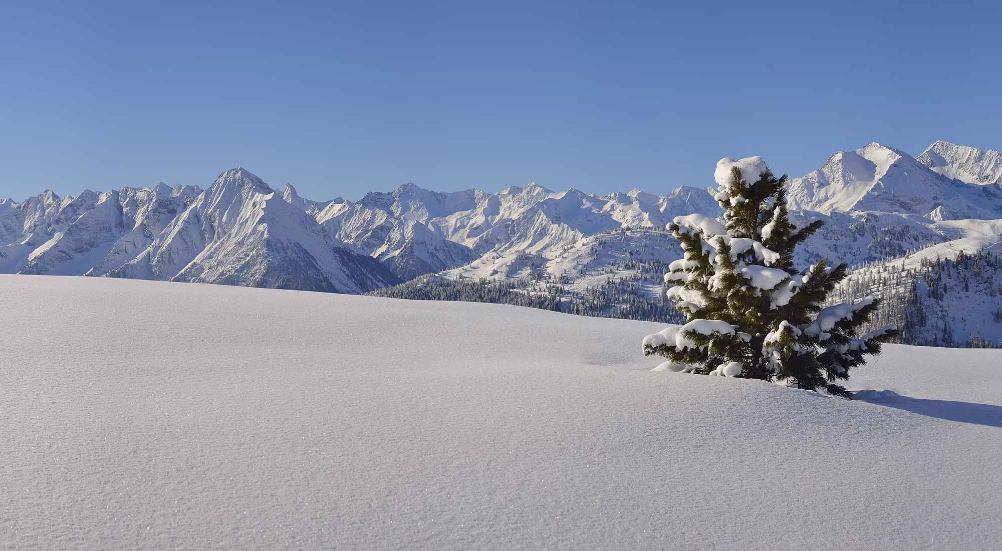 Winterlandschaft © Archiv TVB Mayrhofen-Hippach / Paul Sürth